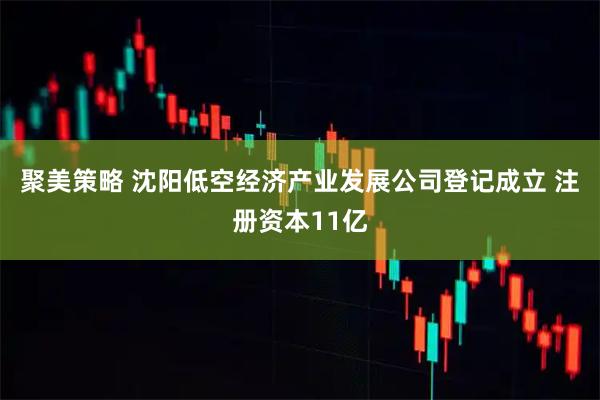 聚美策略 沈阳低空经济产业发展公司登记成立 注册资本11亿